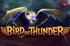 Bird Of Thunder